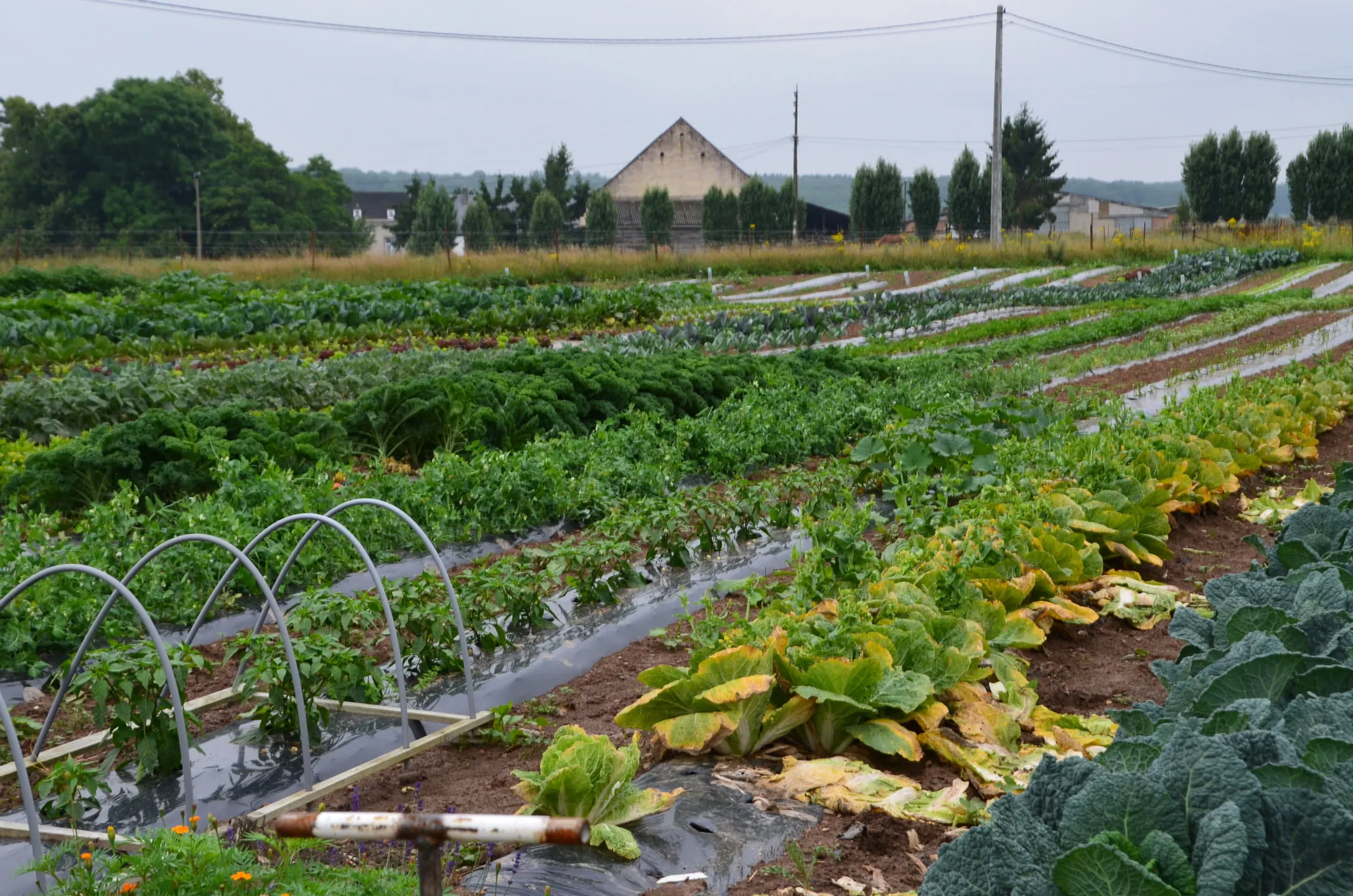 Photo des Jardins d’ici