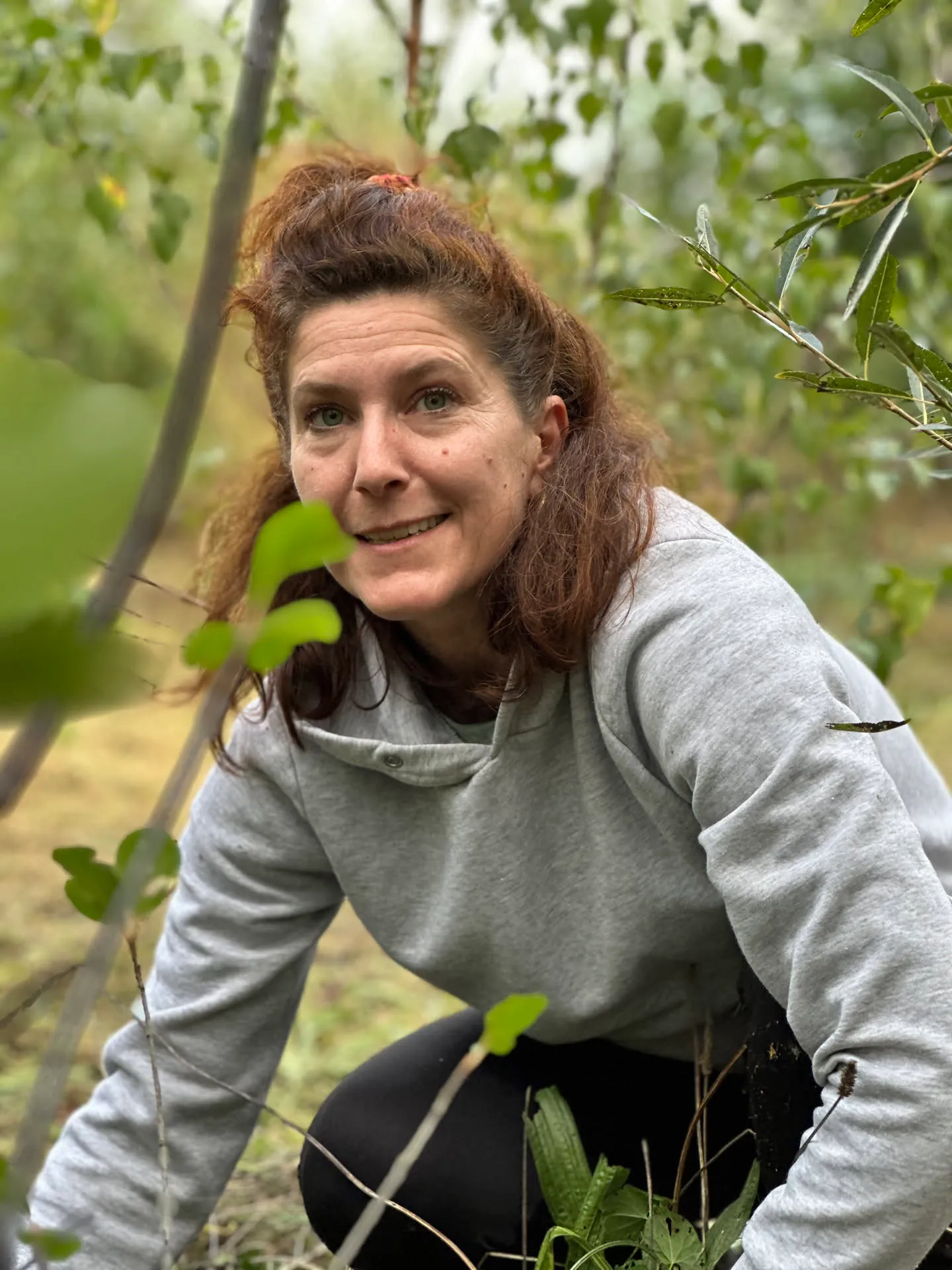Photo des Jardins d’ici