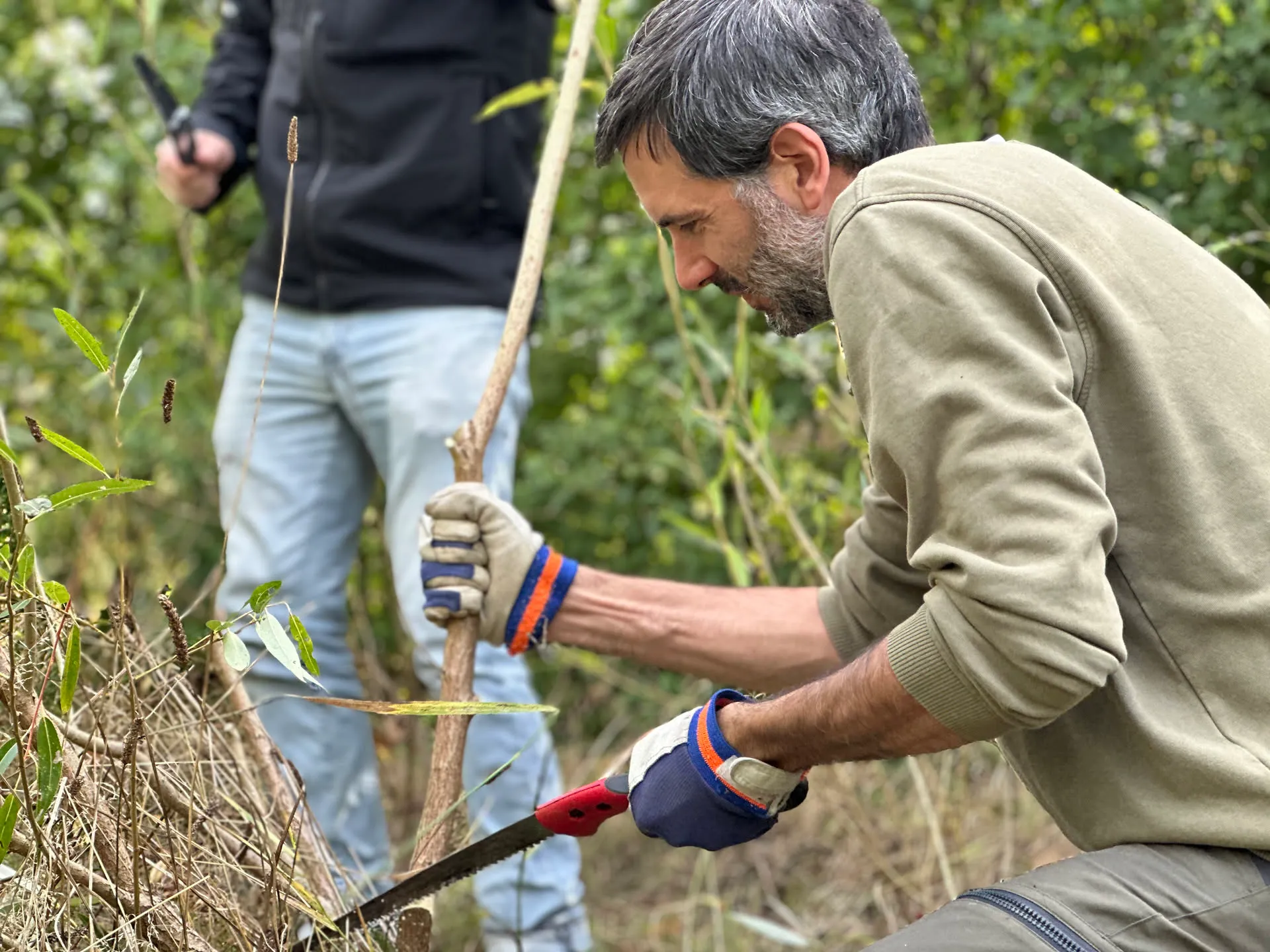 Photo des Jardins d’ici