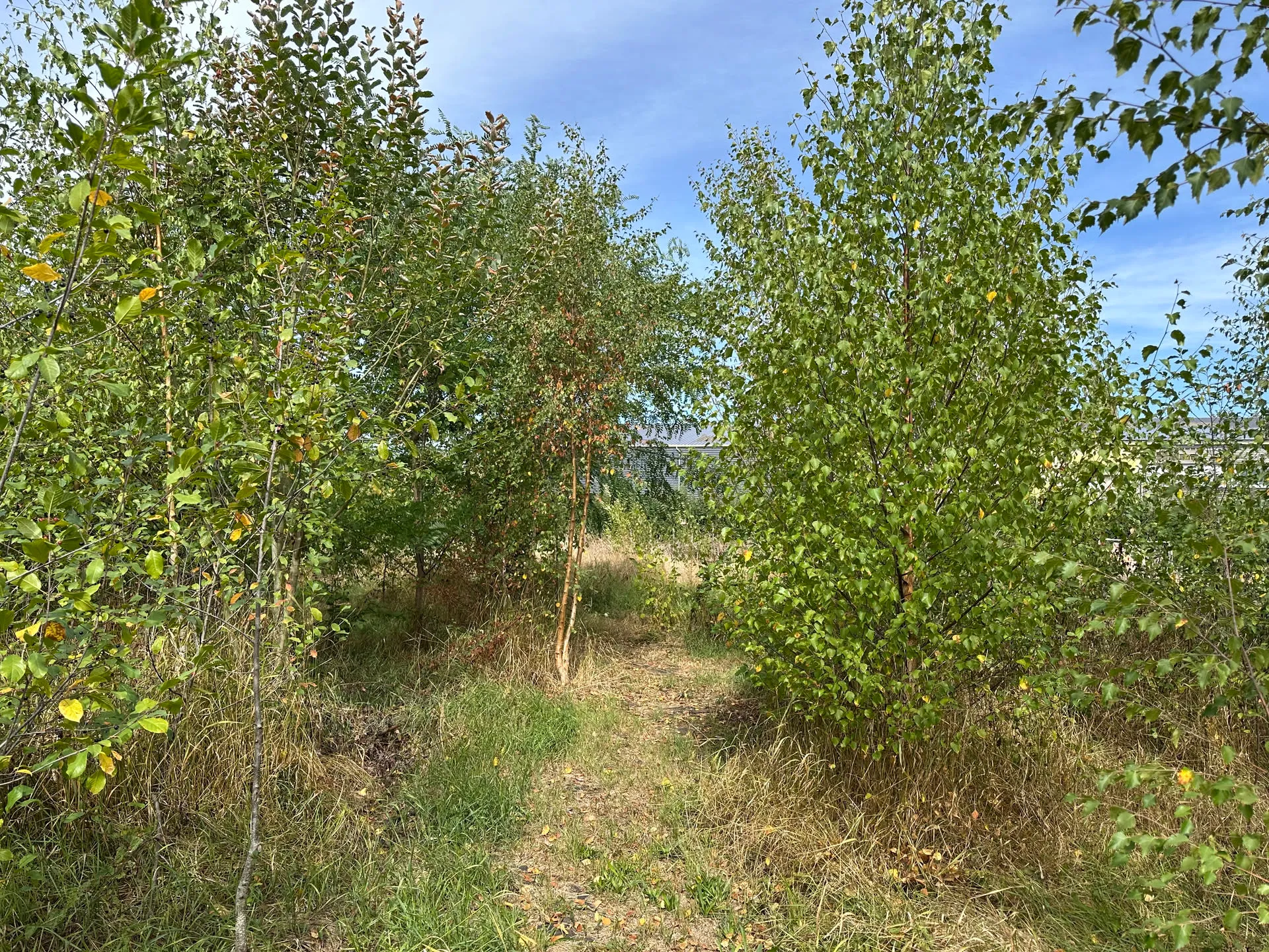 Photo des Jardins d’ici