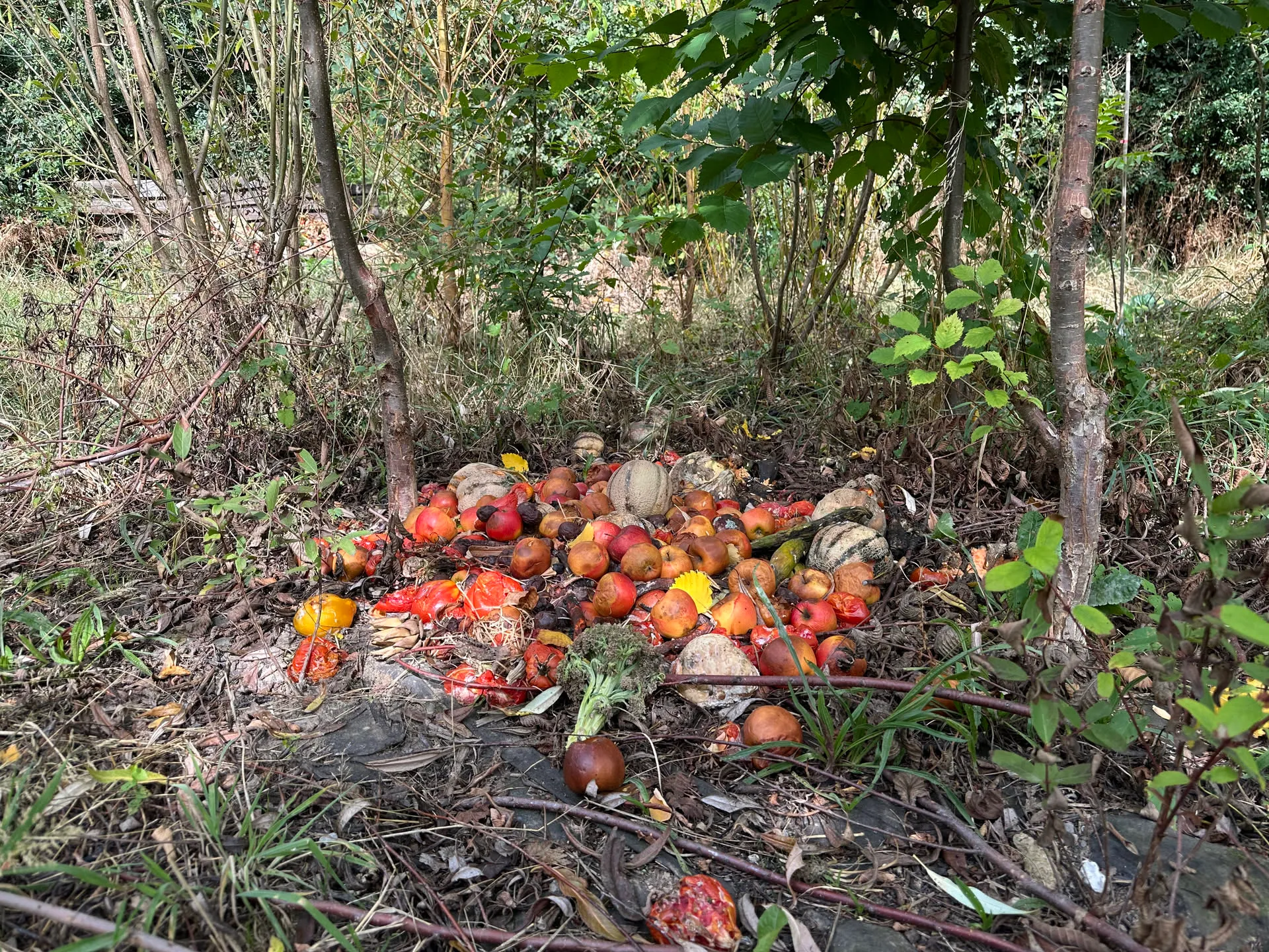 Photo des Jardins d’ici