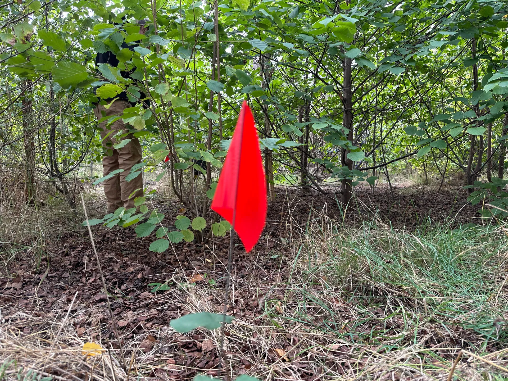 Photo des Jardins d’ici