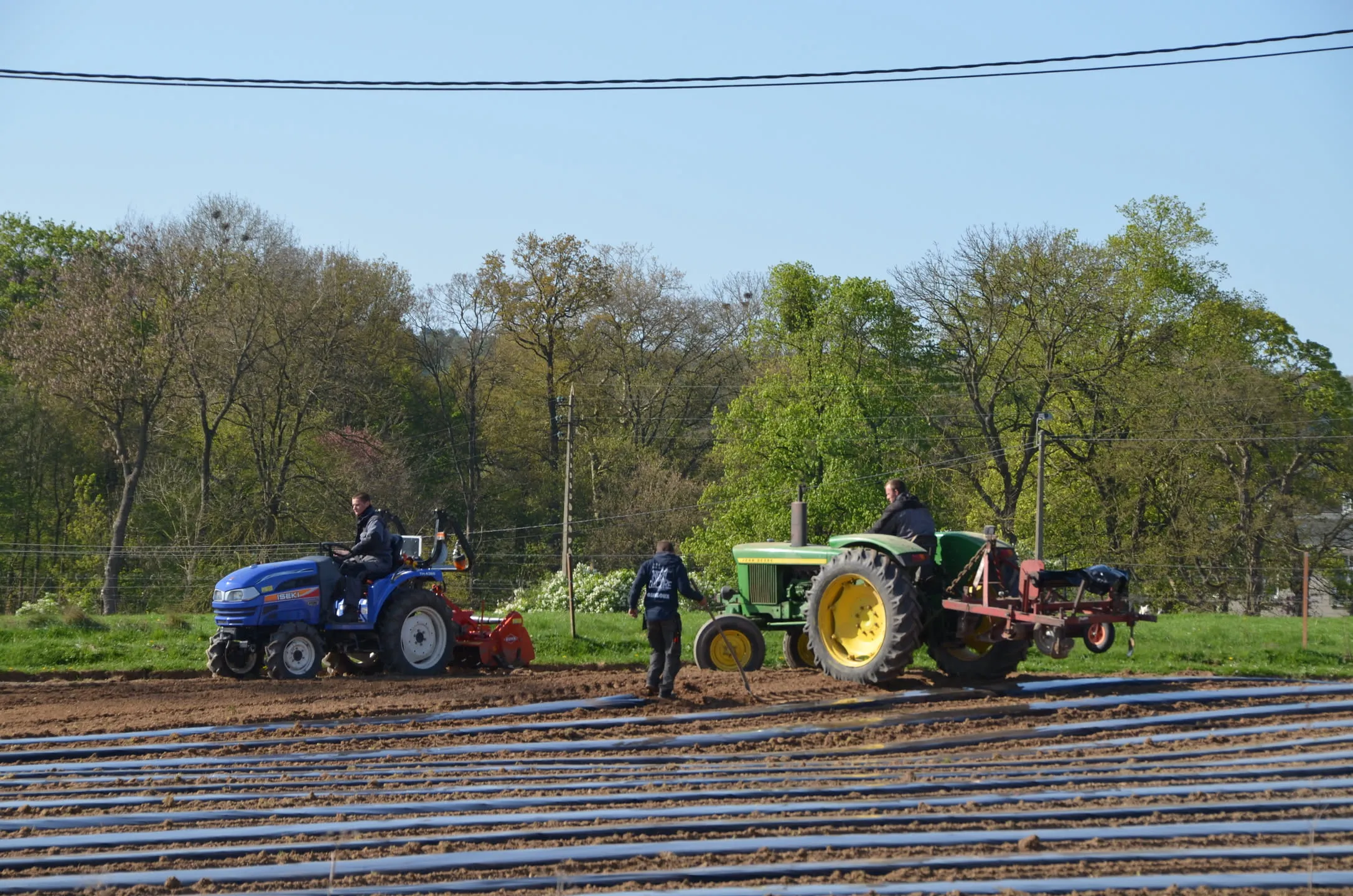 Printemps 2014 : préparation des parcelles maraîchères